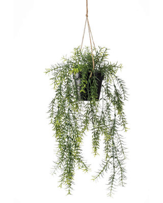 Emerald Kunstplant Asparagus hangstruik 50cm in pot