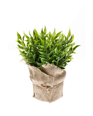 Emerald Kunstplant Ruscus 20cm in jute pot
