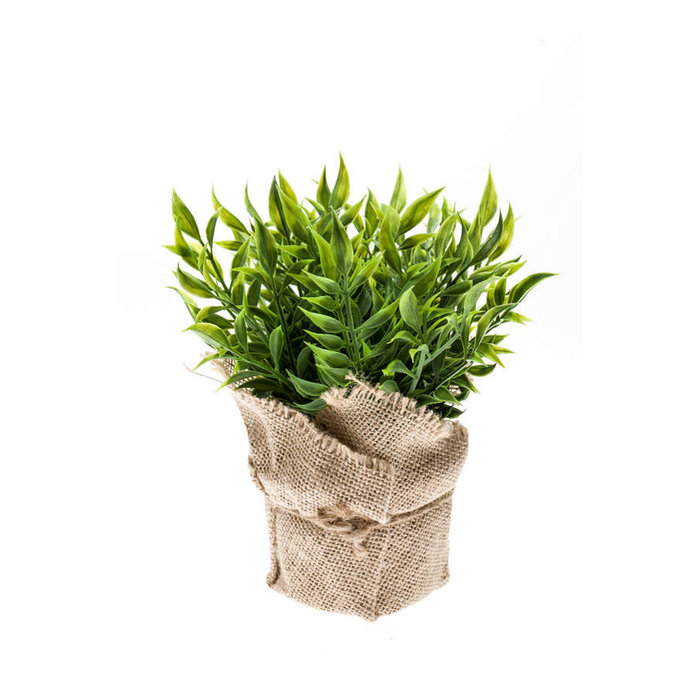 Emerald Kunstplant Ruscus 20cm in jute pot
