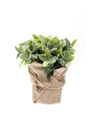 Emerald Kunstplant Munt 19cm in jute pot