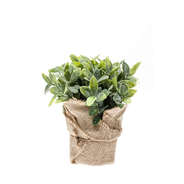 Emerald Kunstplant Munt 19cm in jute pot