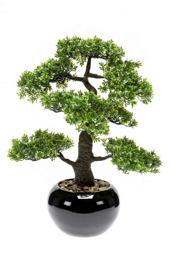 Emerald Kunstplant Ficus mini bonsai 47cm in zwarte pot