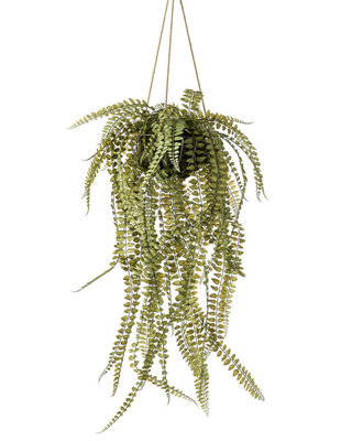 Emerald Kuntsplant Varen rond hangend 95cm