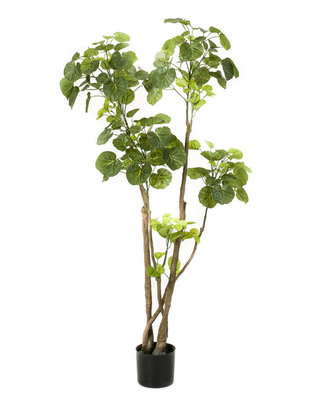 Emerald Kunstboom Polyscias tree 135cm