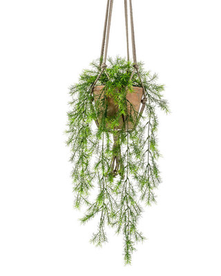 Emerald Kunst hangplant Asparagus sprengeri 65cm in pot
