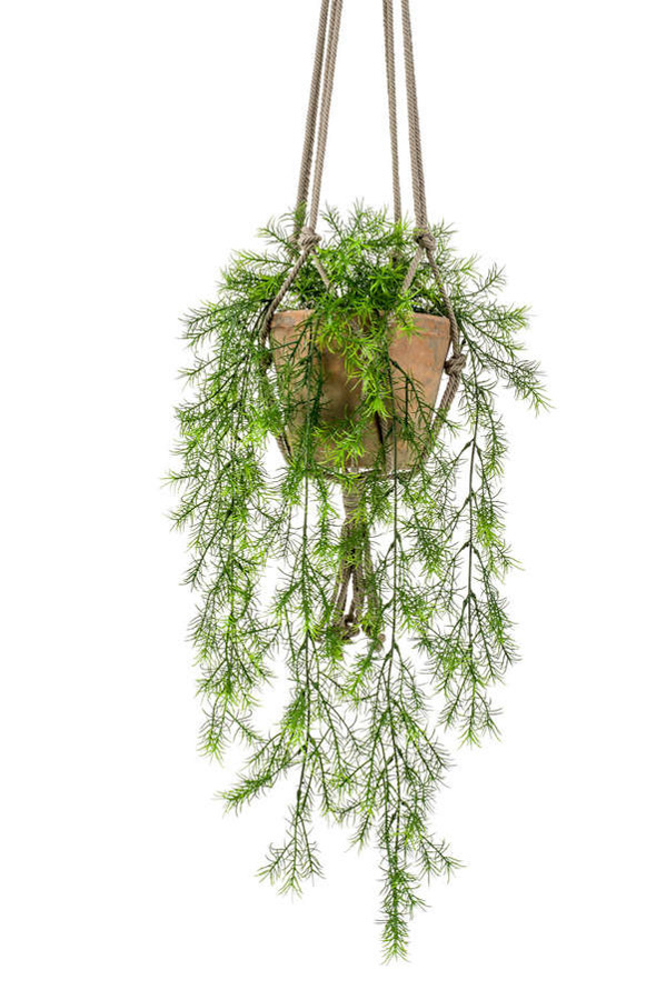 Uitbeelding klein Slip schoenen Kunst hangplant Asparagus sprengeri 65cm in pot - Floralike kunstplanten -  Floralike