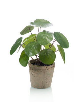 Emerald Kunstplant Pilea struik 22cm in aged pot