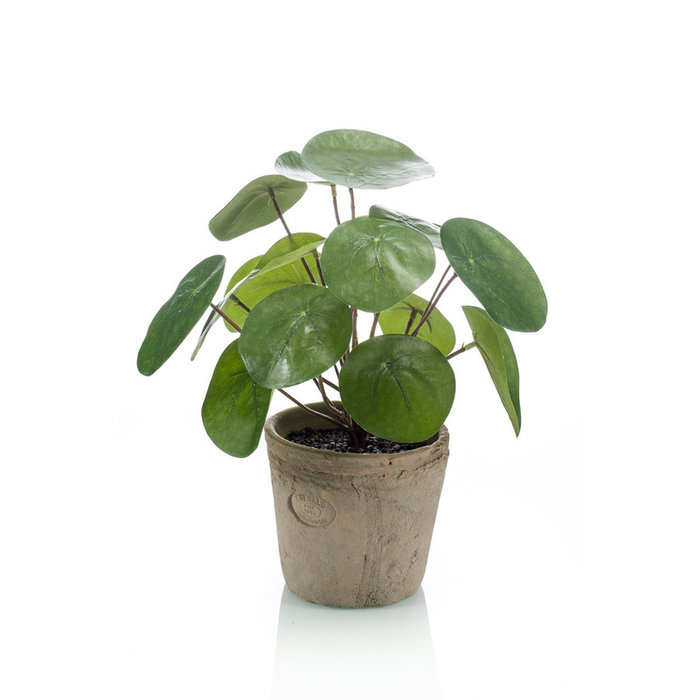 Emerald Kunstplant Pilea struik 22cm in aged pot