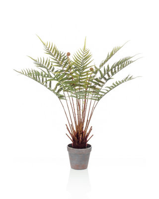 Emerald Kunstplant Varen dicksonia 60cm