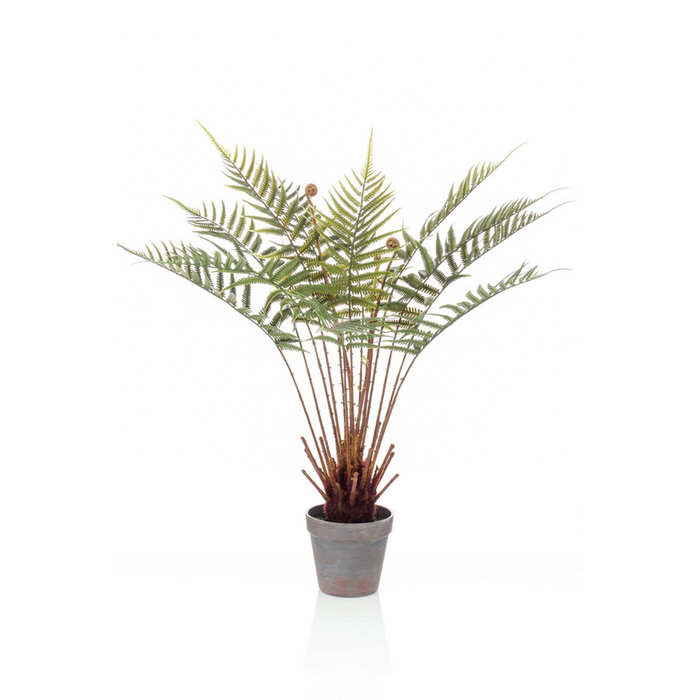 Emerald Kunstplant Varen dicksonia 60cm