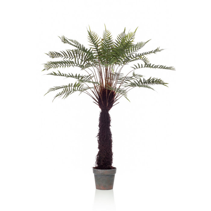 Emerald Kunstboom Varen dicksonia125cm