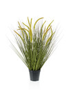 Emerald Kunstplant Lisdodde gras 70cm