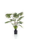 Emerald Kunstplant Philodendron RT 80cm