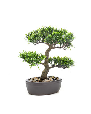 Emerald Kunstplant Podocarpus bonsai 32cm op bruin bord
