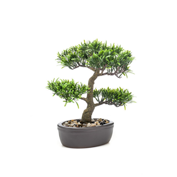 Emerald Kunstplant Podocarpus bonsai 32cm op bruin bord