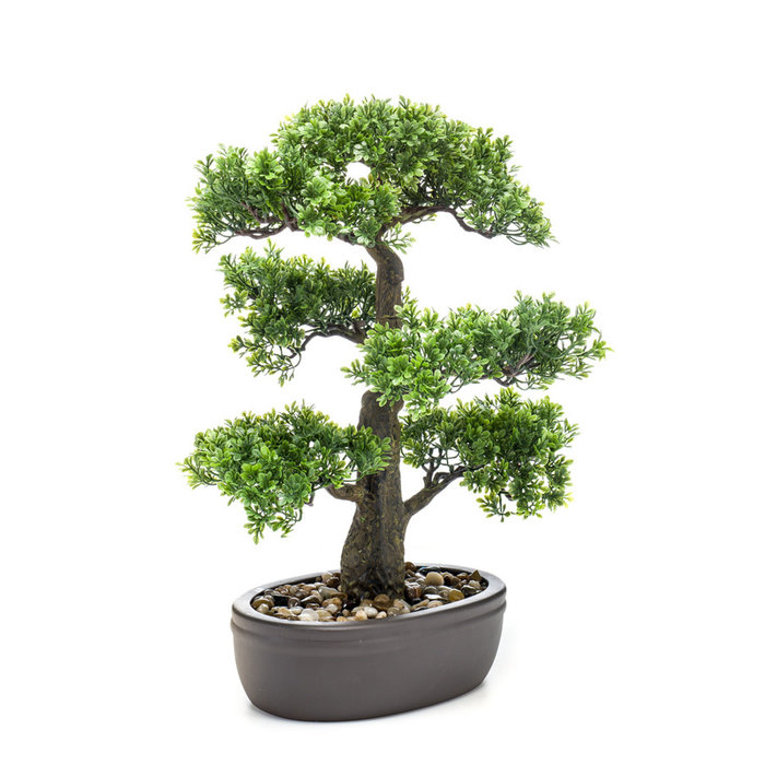 Emerald Ficus mini bonsai 43cm op bruin bord