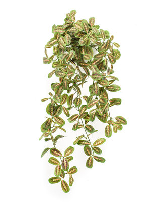 Emerald Kunst hangplant Maranta 70cm veelkleurig