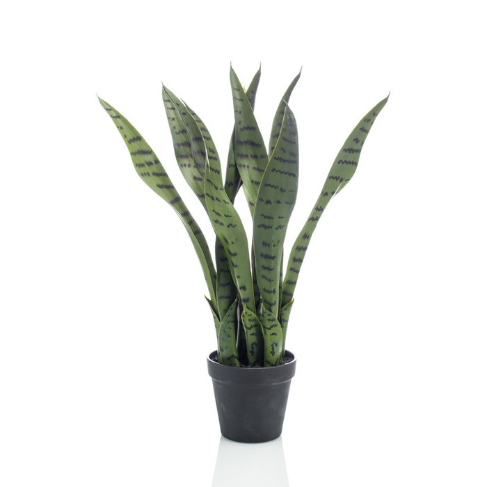 Emerald Kunstplant Sansevieria 50cm in pot