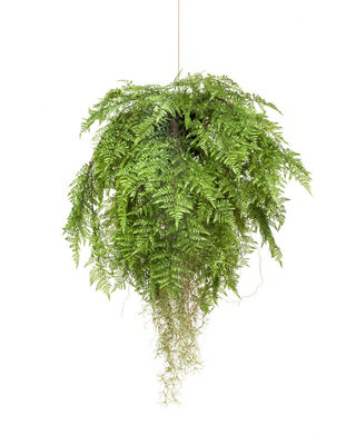 Emerald Kunstplant Varen met wortels hangend 80cm