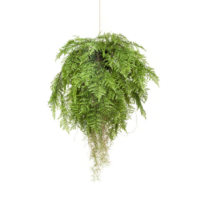 Emerald Kunstplant Varen met wortels hangend 80cm