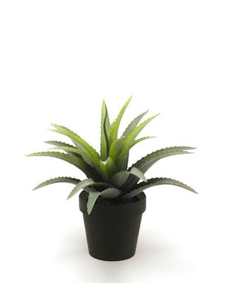 Emerald Kunstplant Agave 18cm groen/rood