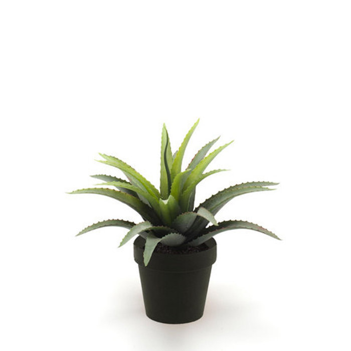 Emerald Kunstplant Agave 18cm groen/rood