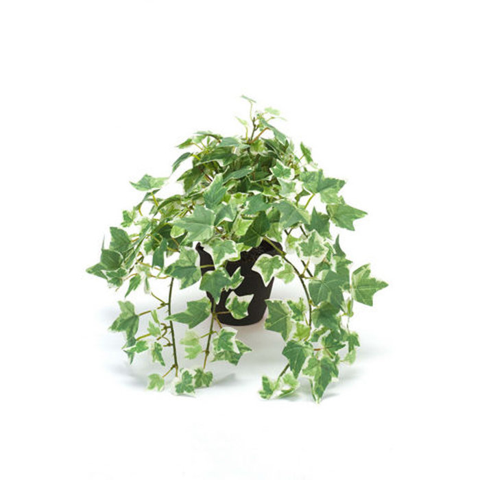 Emerald Kunstplant Klimop holland 30cm in pot