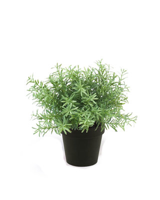 Emerald Kunstplant Rosemarijn groen 22cm in zwarte pot
