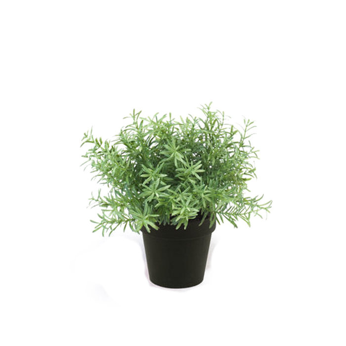 Emerald Kunstplant Rosemarijn groen 22cm in zwarte pot