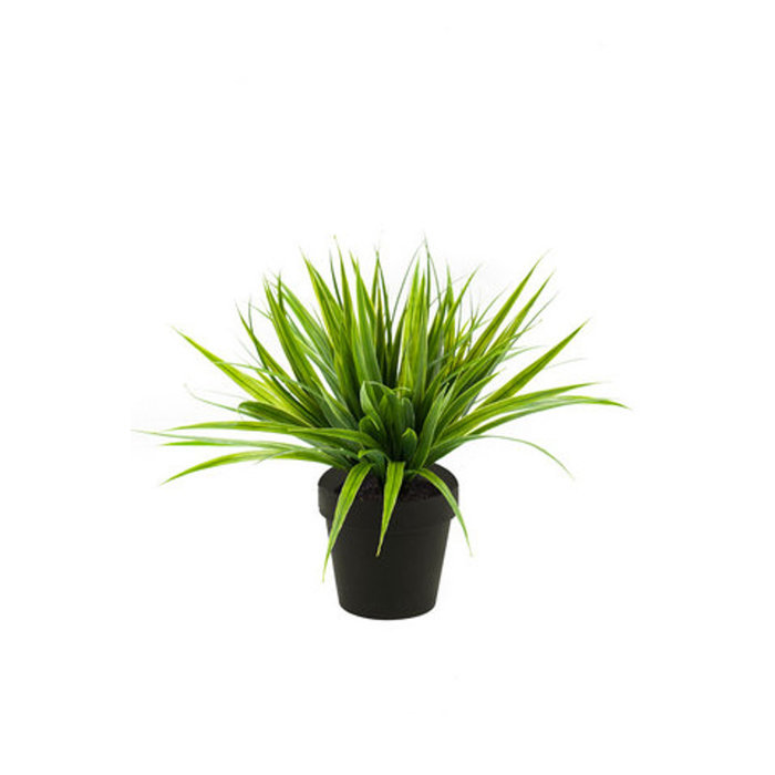 Emerald Kunstplant gras 33cm groen in zwarte pot