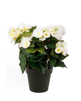 Emerald Kunstplant Begonia 29cm crème in zwarte pot