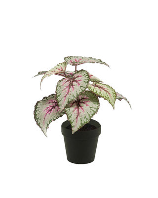 Emerald Kunstplant Begoniastruik 25cm grijs/roze in zwarte pot