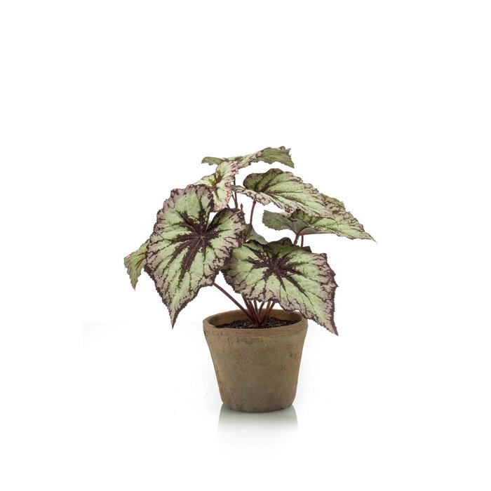 Emerald Kunstplant Begoniastruik 25cm grijs/paars in terracotta pot