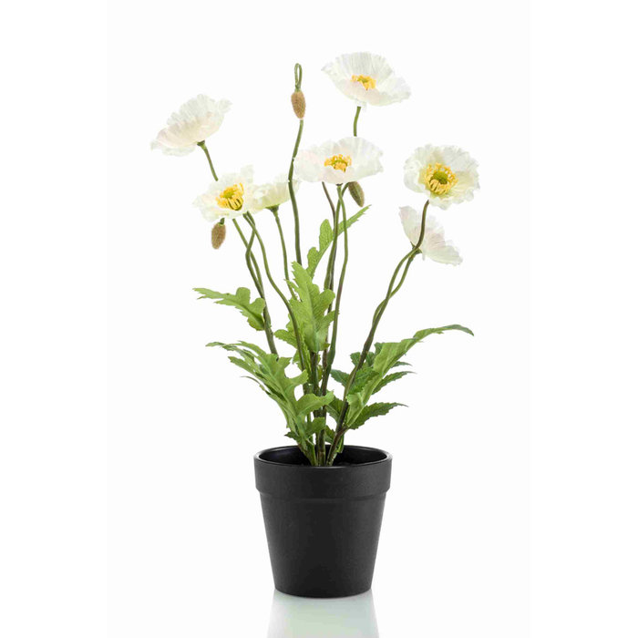 Emerald Kunstplant Poppy 36cm in zwarte pot