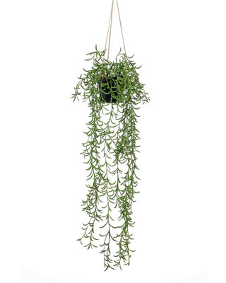 Emerald Kunstplant Senecio hangend 70cm in pot