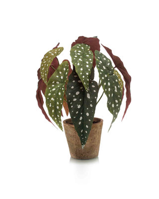 Emerald Kunstplant Begonia maculata 33cm in aged pot