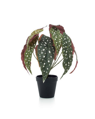 Emerald Kunstplant Begonia maculata 33cm in zwarte pot