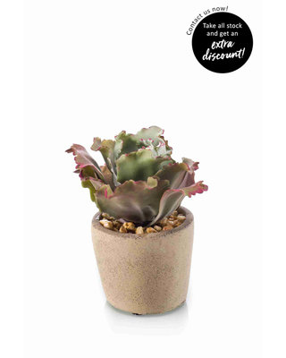 Emerald Kunstplant Echeveria in cement pot 13cm