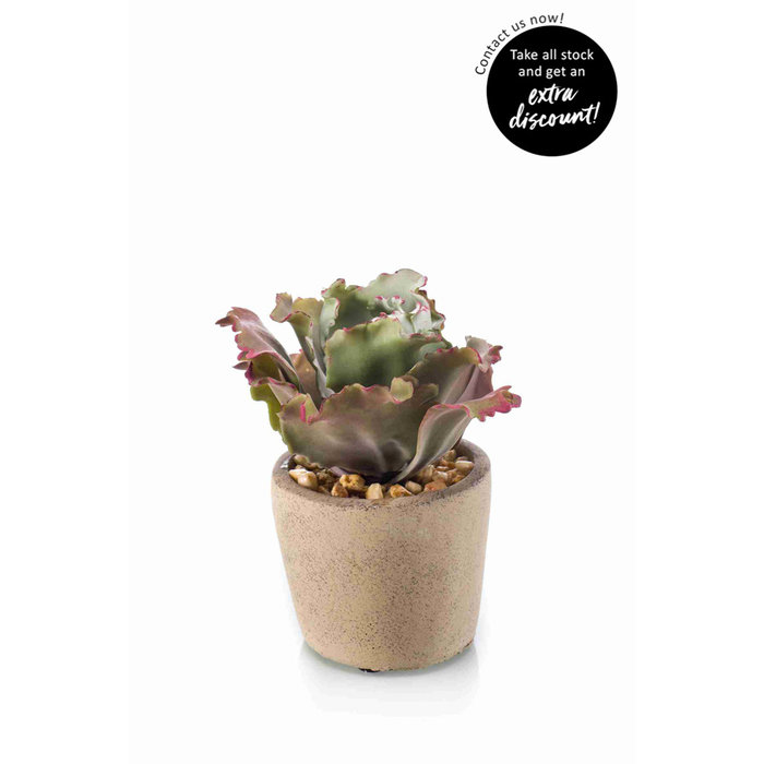Emerald Kunstplant Echeveria in cement pot 13cm