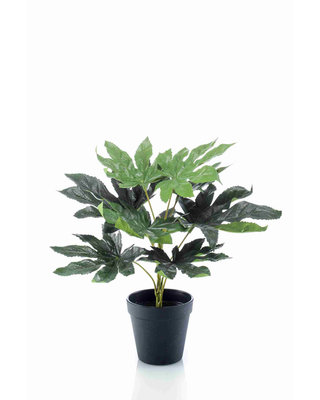 Emerald Kunstplant Fatsia 30cm in plastic pot