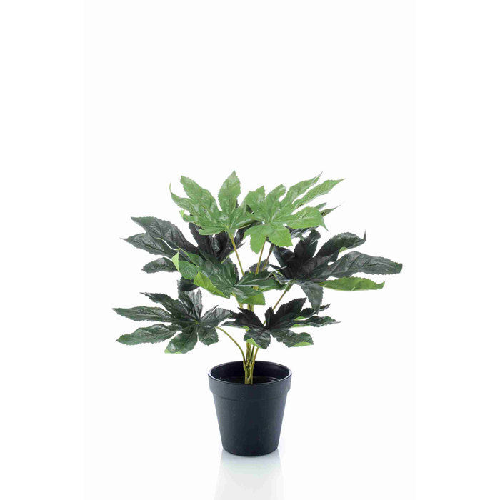 Emerald Kunstplant Fatsia 30cm in plastic pot