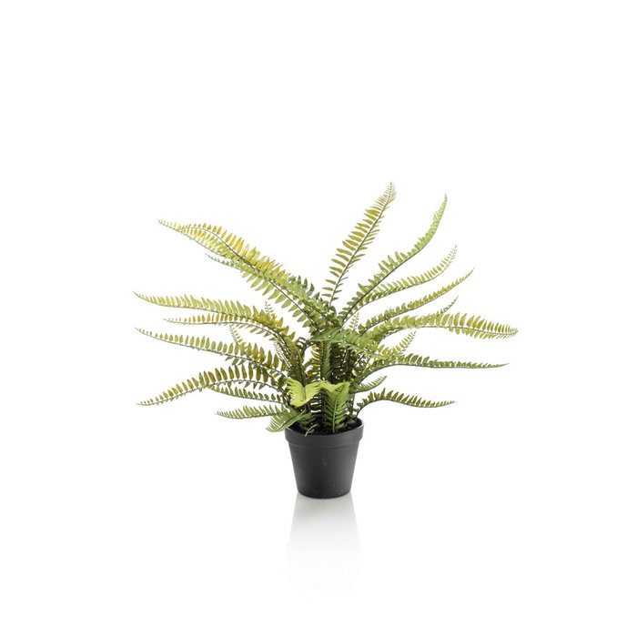 Emerald Kunstplant Bostonvaren 55cm in zwarte pot