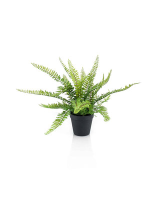 Emerald Kunstplant Varen 35cm in zwarte kunststof pot