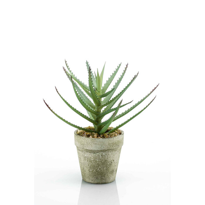 Emerald Kunstplant Aloe 18cm in pot