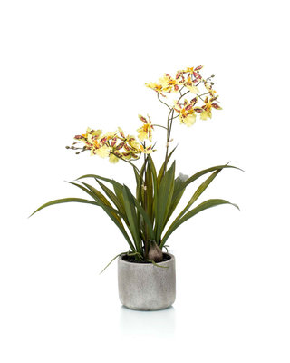 Emerald Kunstplant Oncidium geel/bruin 45cm in keramische pot