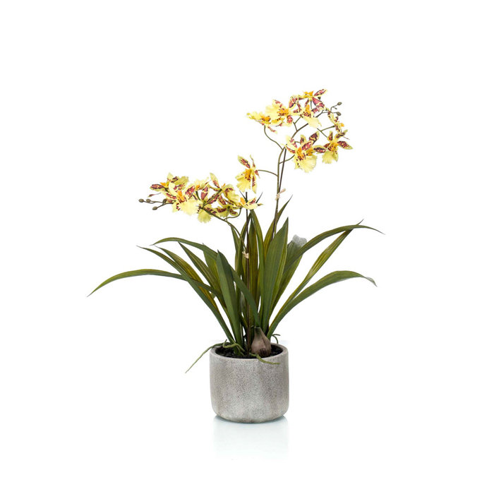 Emerald Kunstplant Oncidium geel/bruin 45cm in keramische pot