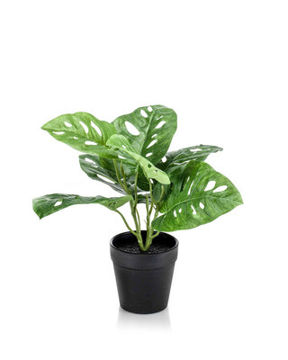 Emerald Kunstplant Monstera monkey groen 30cm in zwarte pot