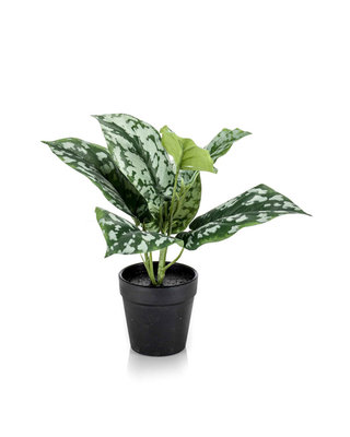 Emerald Kunstplant Scindapsus pictus groen/grijs 24cm in zwarte pot