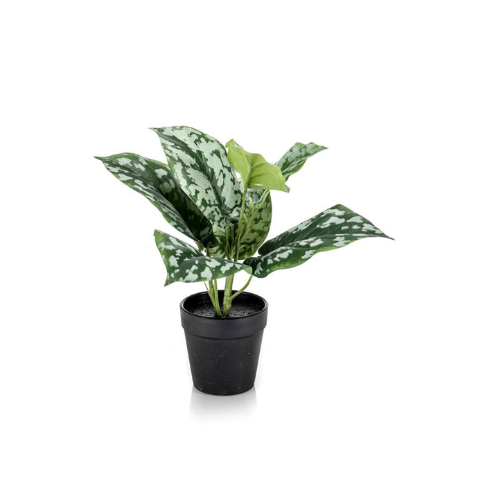 Emerald Kunstplant Scindapsus pictus groen/grijs 24cm in zwarte pot