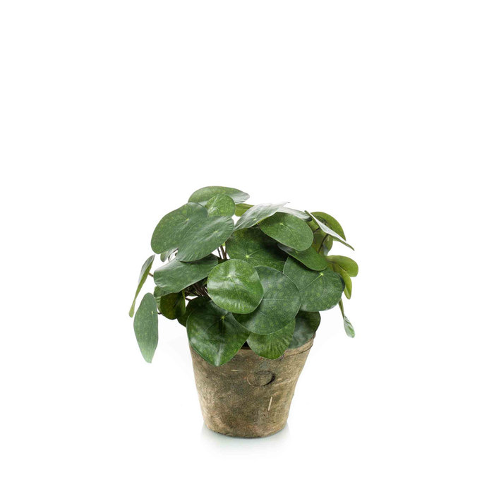 Emerald Kunstplant Pilea 22cm in terracotta pot